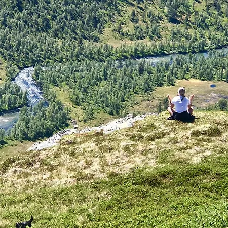 Mountain River Views Feriehus *