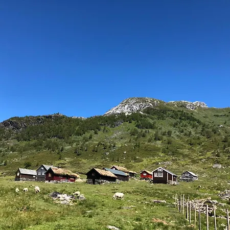 Mountain River Views *